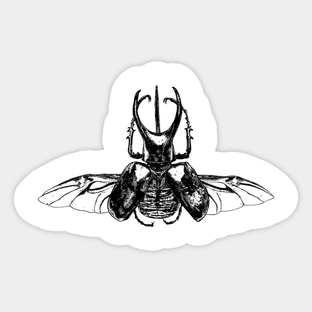 Scarab Two Sticker by Sy Gibbon